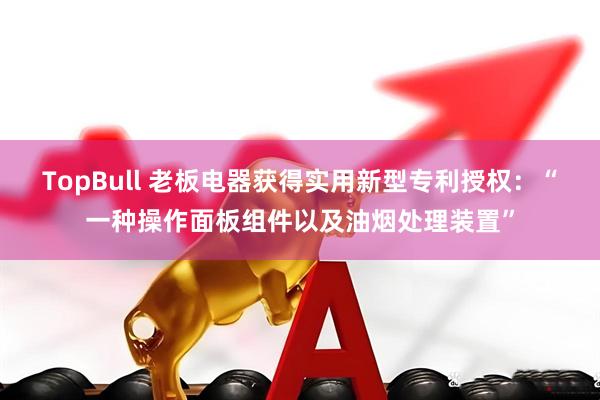 TopBull 老板电器获得实用新型专利授权：“一种操作面板组件以及油烟处理装置”