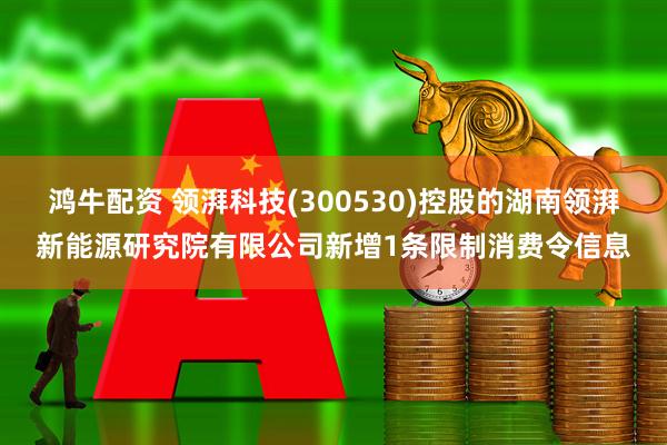 鸿牛配资 领湃科技(300530)控股的湖南领湃新能源研究院有限公司新增1条限制消费令信息