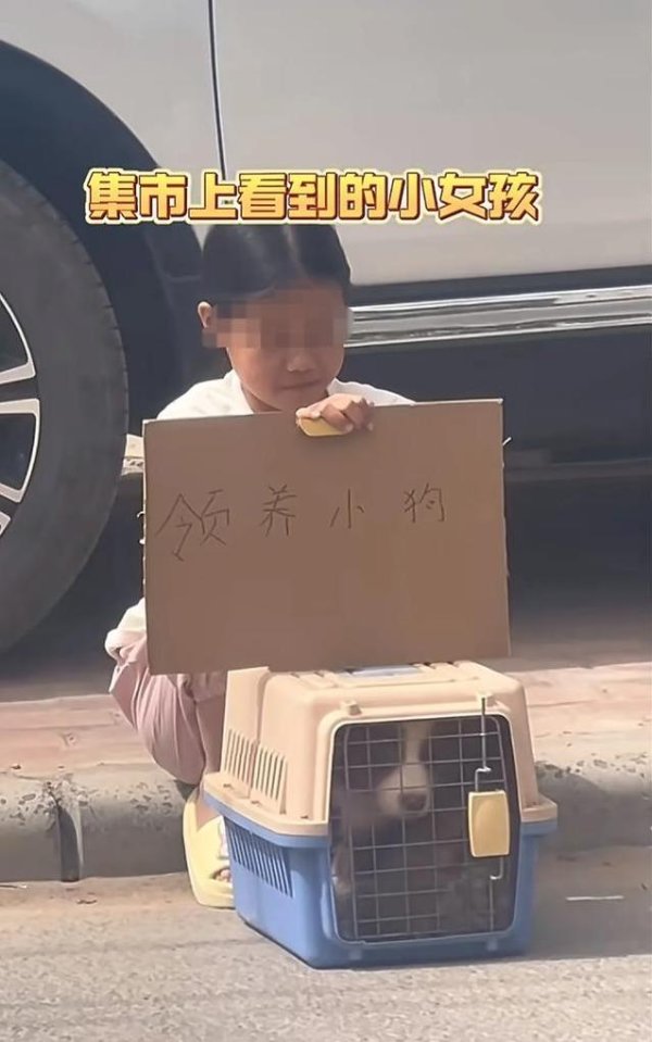 启恒配资 小女孩路边求领养心爱狗，掏出零钱感动叔叔，却扔掉500元