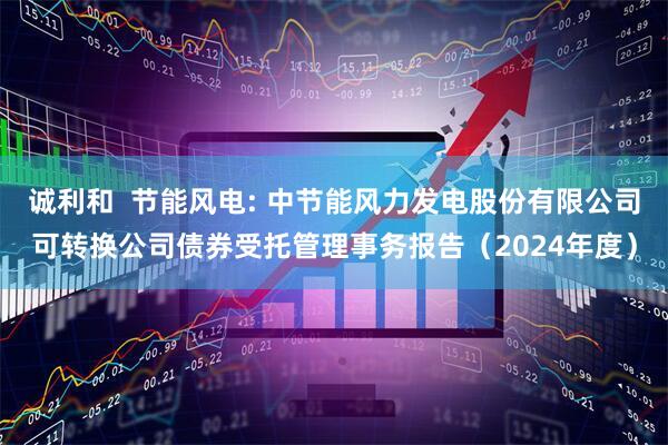 诚利和  节能风电: 中节能风力发电股份有限公司可转换公司债券受托管理事务报告（2024年度）