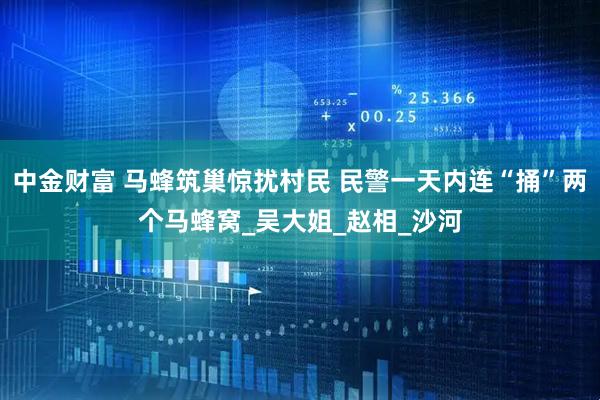 中金财富 马蜂筑巢惊扰村民 民警一天内连“捅”两个马蜂窝_吴大姐_赵相_沙河