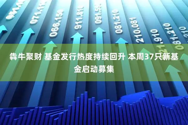 犇牛聚财 基金发行热度持续回升 本周37只新基金启动募集